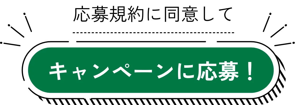 応募規約に同意してキャンペーンに応募！