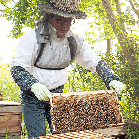 生命の巡りがもたらすミツバチの贈り物 Beehive（ビーハイブ）